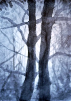 ParAtc02
